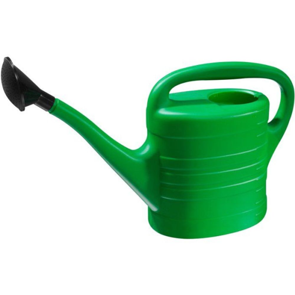 Arrosoir - - 10 l - pomme d'arrosage - vert
