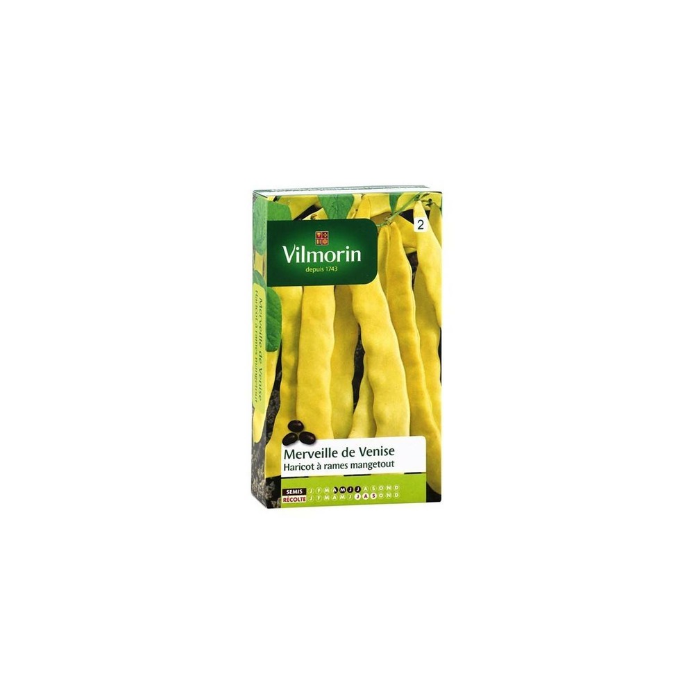 Graines de haricot à rames mangetout merveille de venise