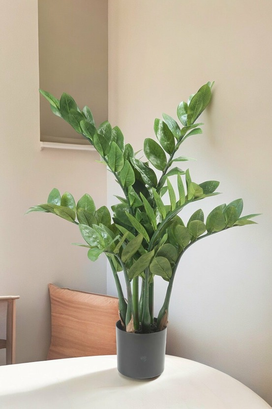 Zamioculcas plante artificielle - h70cm, ø12cm