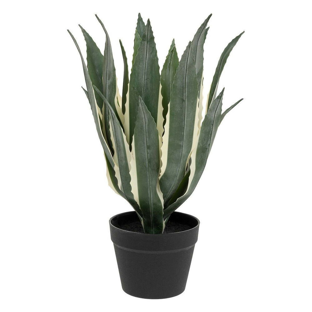 Plante artificielle agave 
