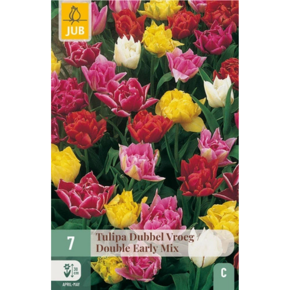 Mix de 7 tulipes doubles hâtives multicolore