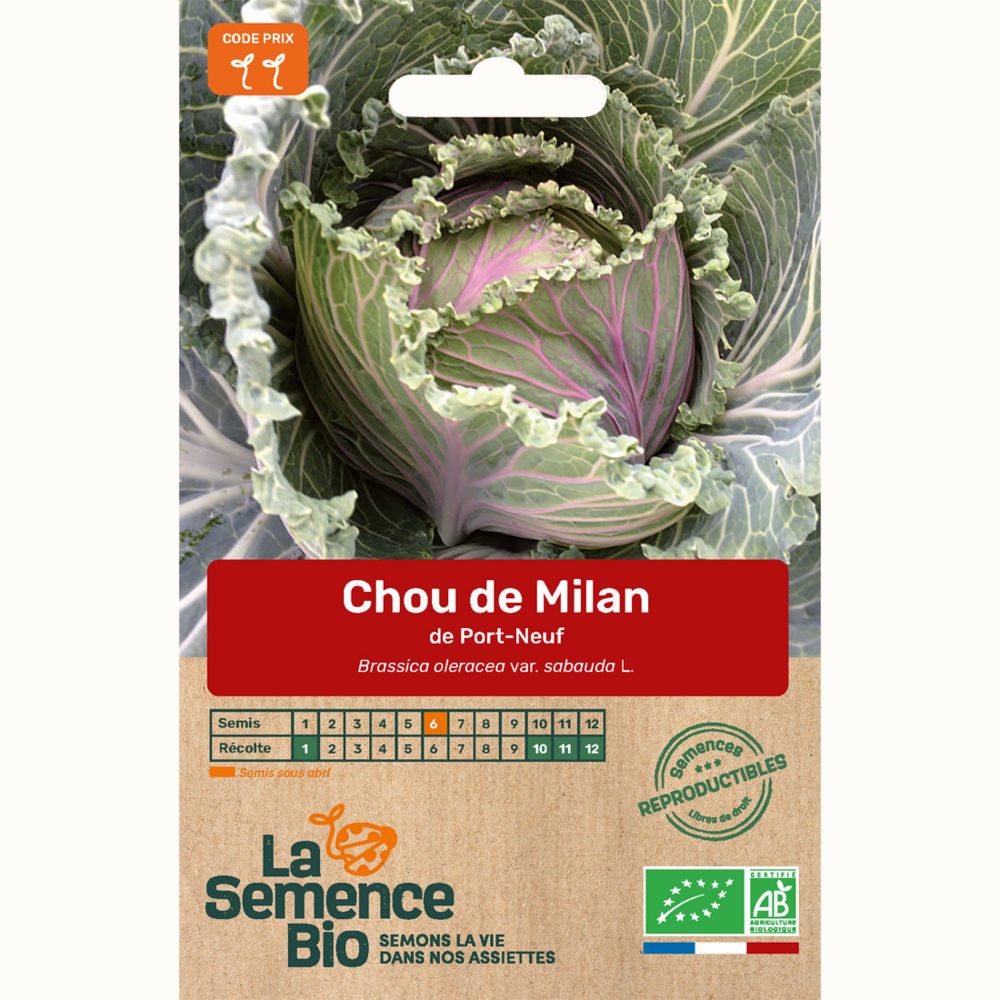 Chou de milan de port-neuf - graines bio