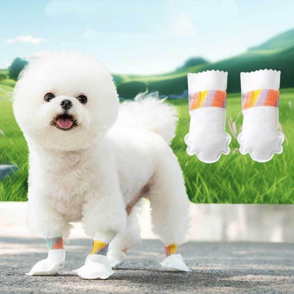 Couvoirs à pied d'animaux jetables, non tissés et anti - glissants taille m downypaws