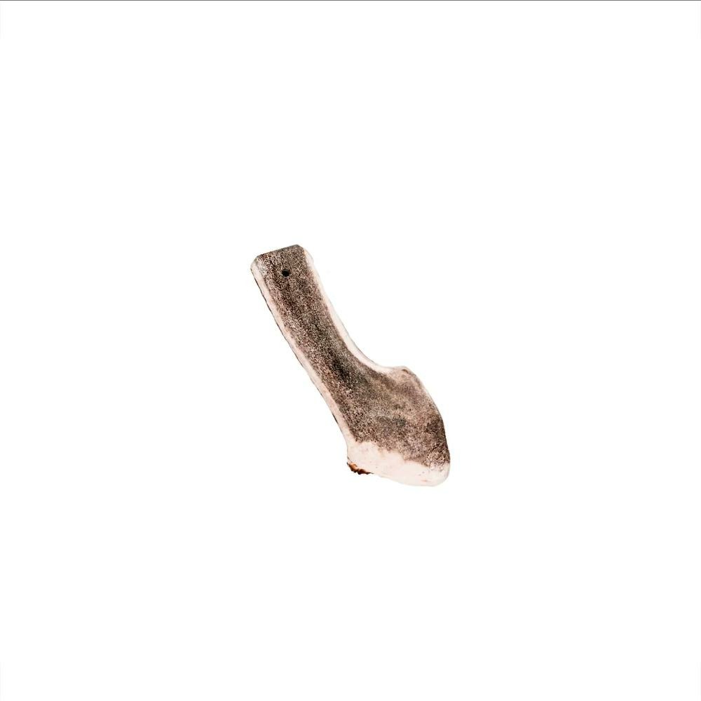 Bois de cerf tranchée - mastication longue pour chiens