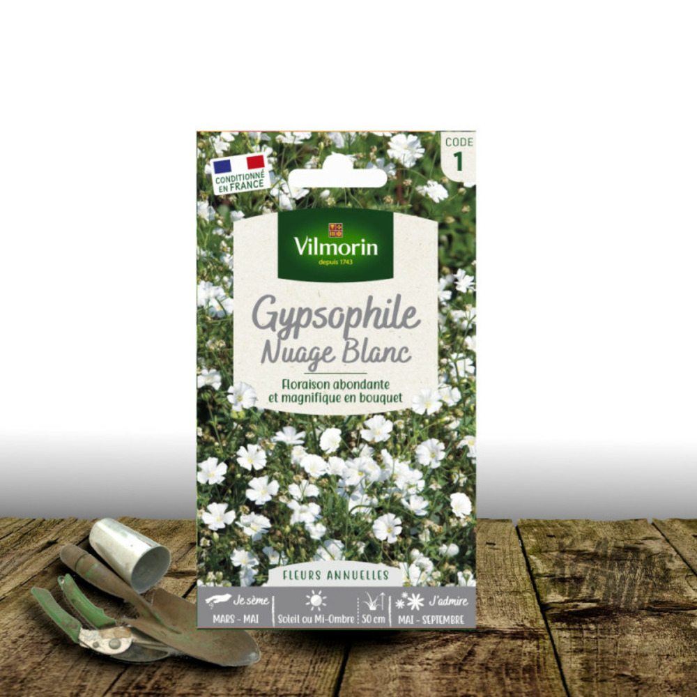 Graines de gypsophile nuage blanc - vilmorin sachet de 2 gr.