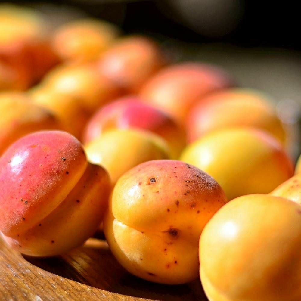 Aprium cot´n candy pot de 12l - gobelet 3 ans