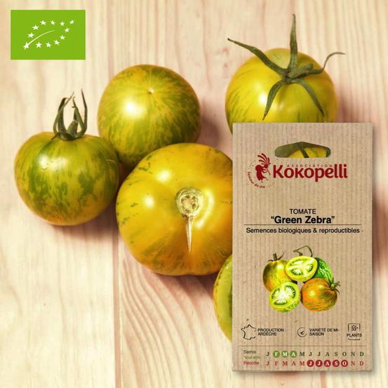 Tomate green zebra- graines bio à semer