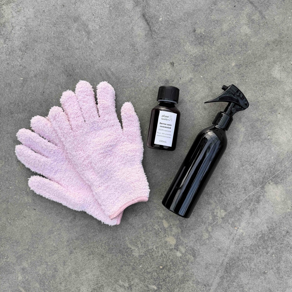 Pack soin des plantes routine complète - pulvérisateur 250ml + savon noir concentré + paire de gants de nettoyage - rose
