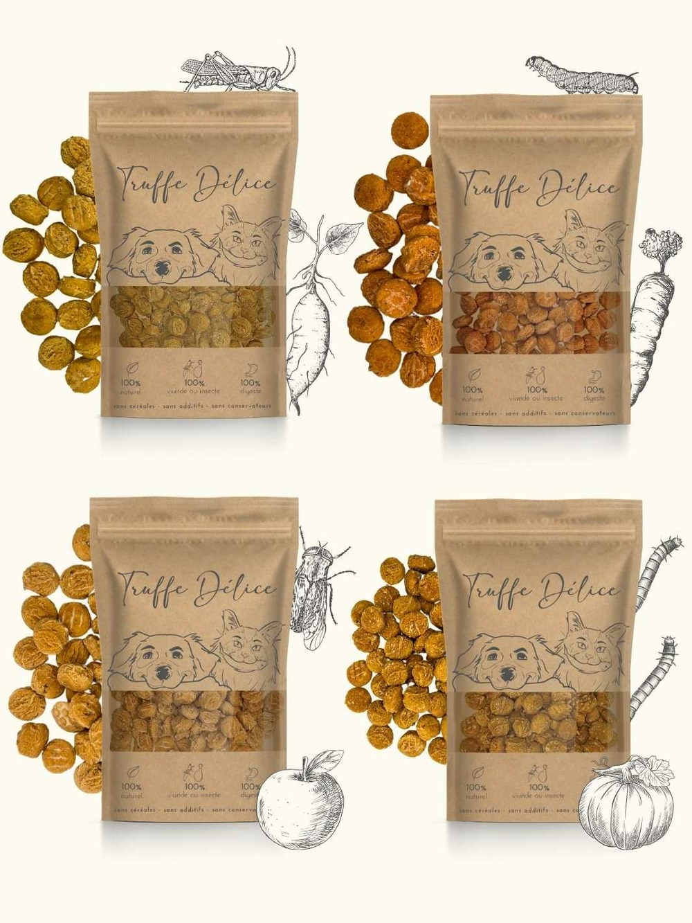 Coffret d'éducation insectes