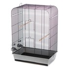 Cage à oiseaux avec accessoires nina 54x34x75 cm gris et noir