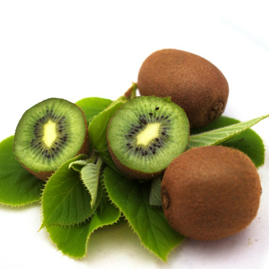 Kiwi solo (autofertile) godet - 5/10 cm