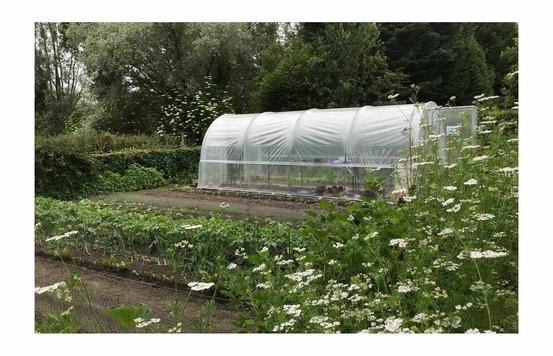 Serre tunnel de jardin - 24m² - 3 x 8m - pieds arrondis - polyéthylène haute densité - 2 portes - jardinière - les serres tonneau