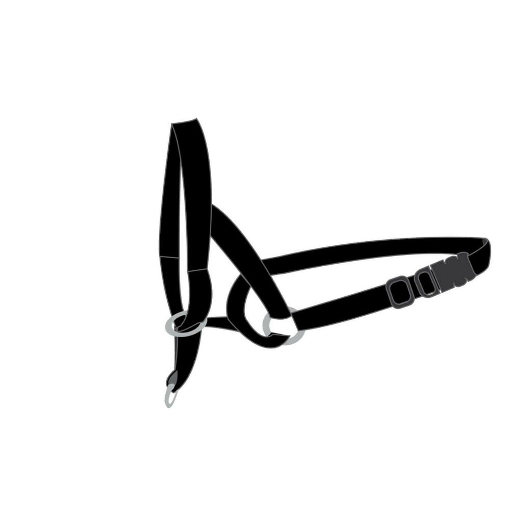 Harnais de dressage de tête museliere- noir xs - pour chien