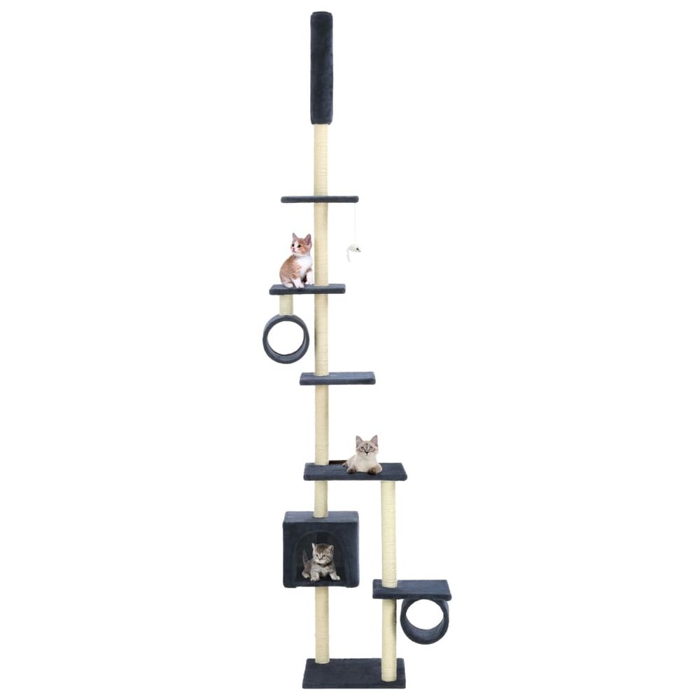 Arbre à chat géant sisal jeu bleu 260cm pour grand chat luxe multi-niveaux
