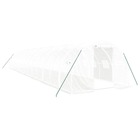 Serre avec cadre en acier blanc 42 m² 14x3x2 m