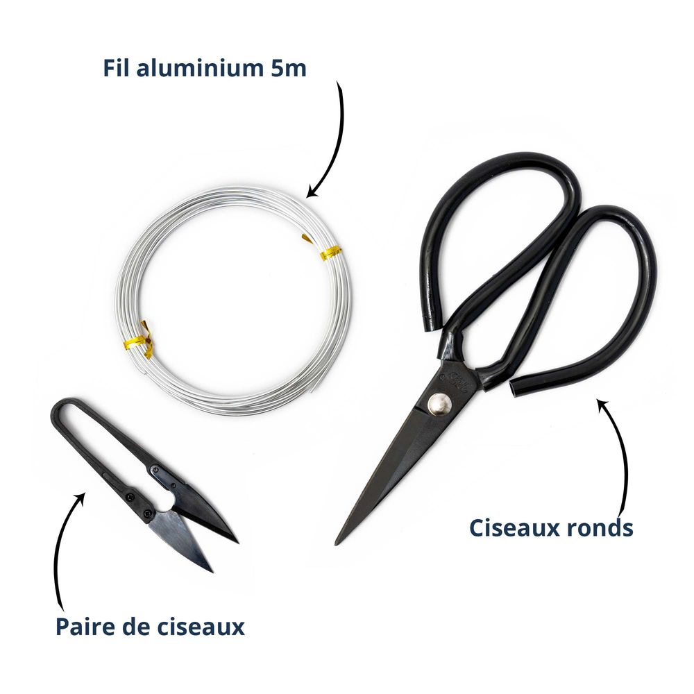 Kit De 3 Outils Bonsaï Cultivea - Ciseaux Ronds En Acier, Fil Aluminium, Pour Taille Et élagage (marque Française)