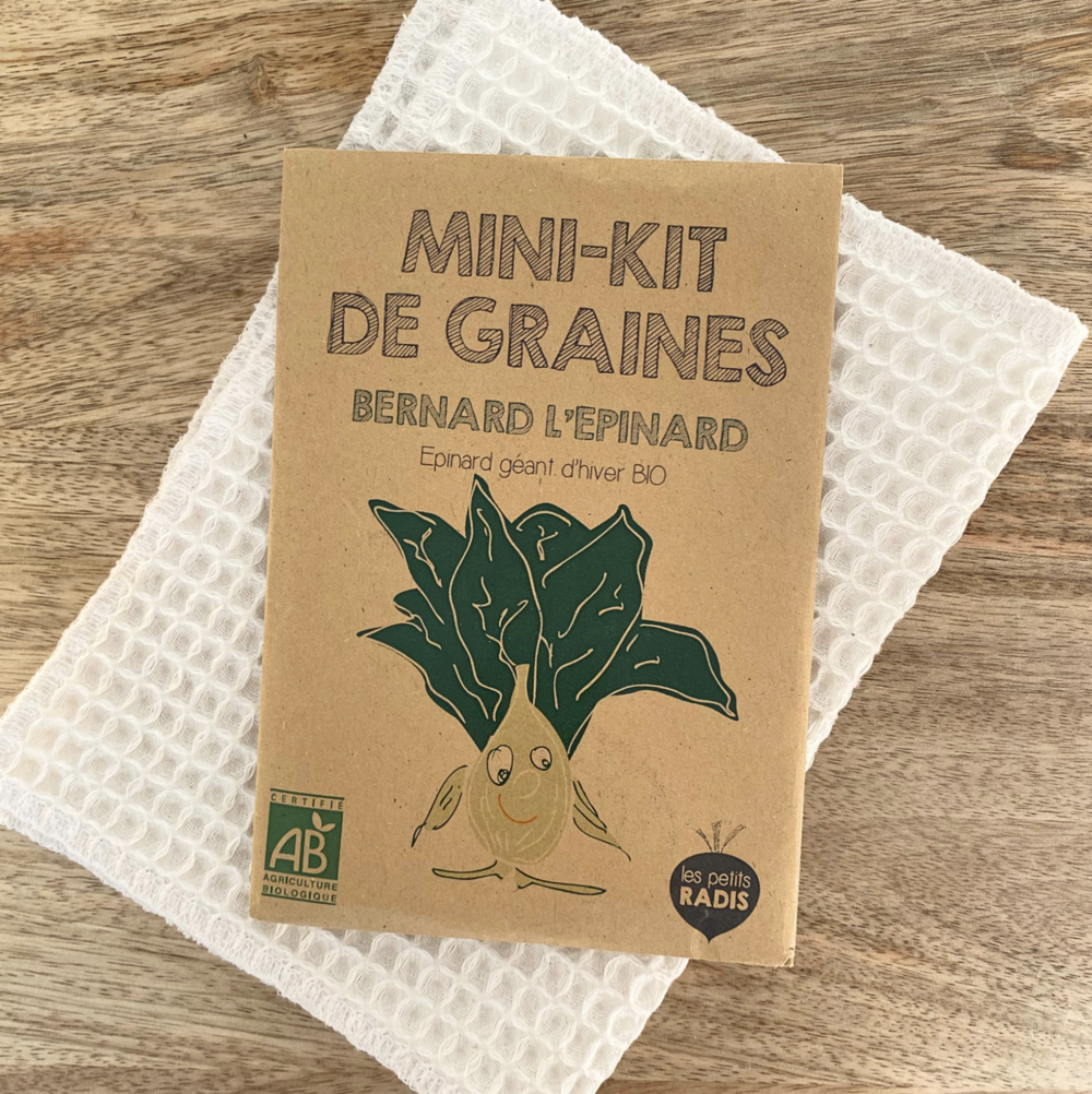 Mini kit de graines - bernard l'épinard