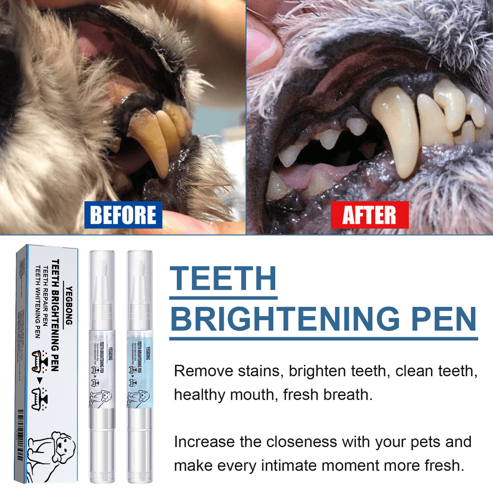 Katyjun Pet Oral Repair Lot de 6 stylos gel réparateur pour