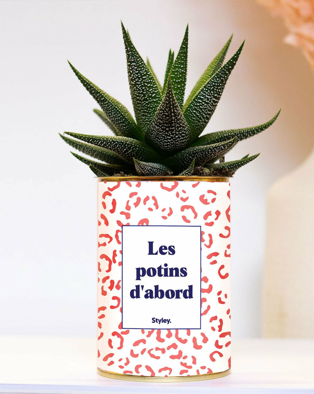 Idée cadeau - les potins d'abord - leopard- plante grasse