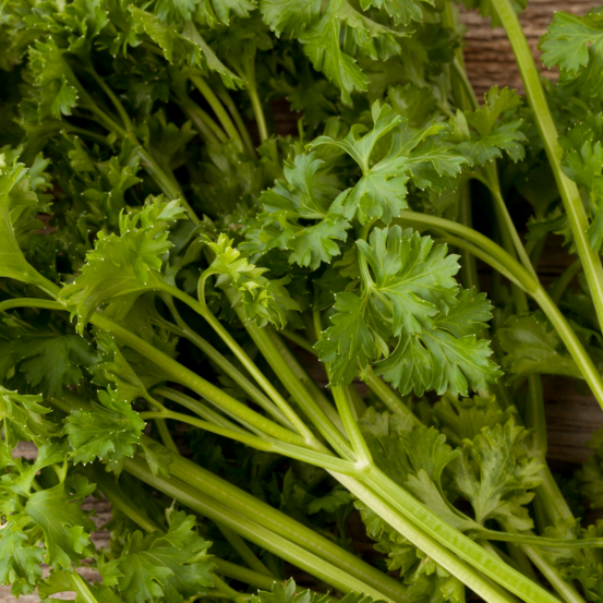 Plant persil frisé parfumé pot 1,5l
