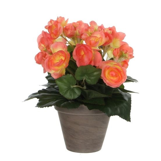Mica decorations plante artificielle bégonia - h30 cm - rose saumon