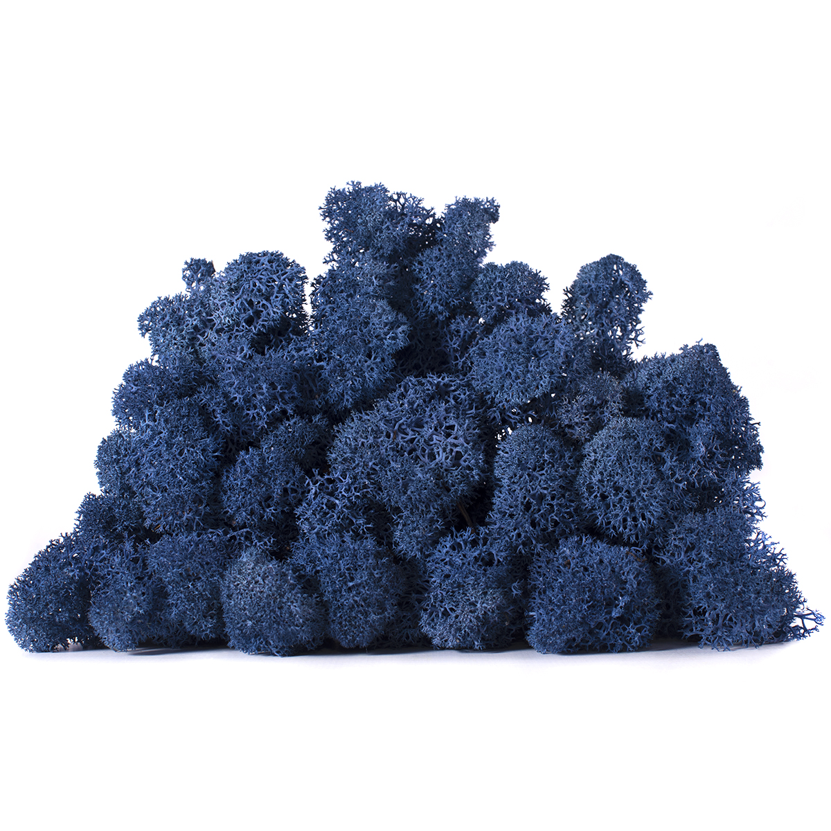 Lic/4086 lichen stabilisée bleu azur box 4 kg