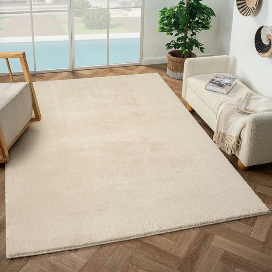 Tapis d'entrée lyn10 lavable 80x150 soyeux et doux, tapis beige uni à l'aspect : shaggy