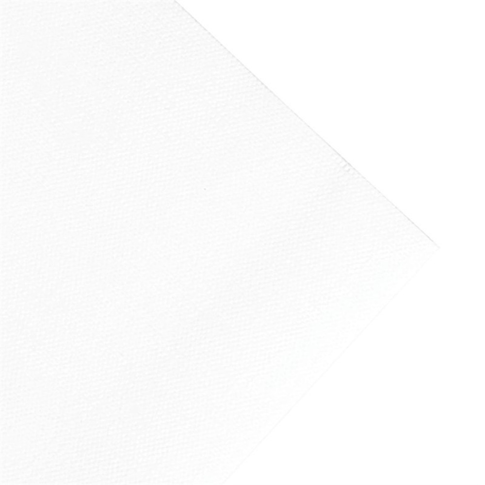 Serviettes en papier déjeuner ouate blanches compostables 400 mm - lot de 750 - duni