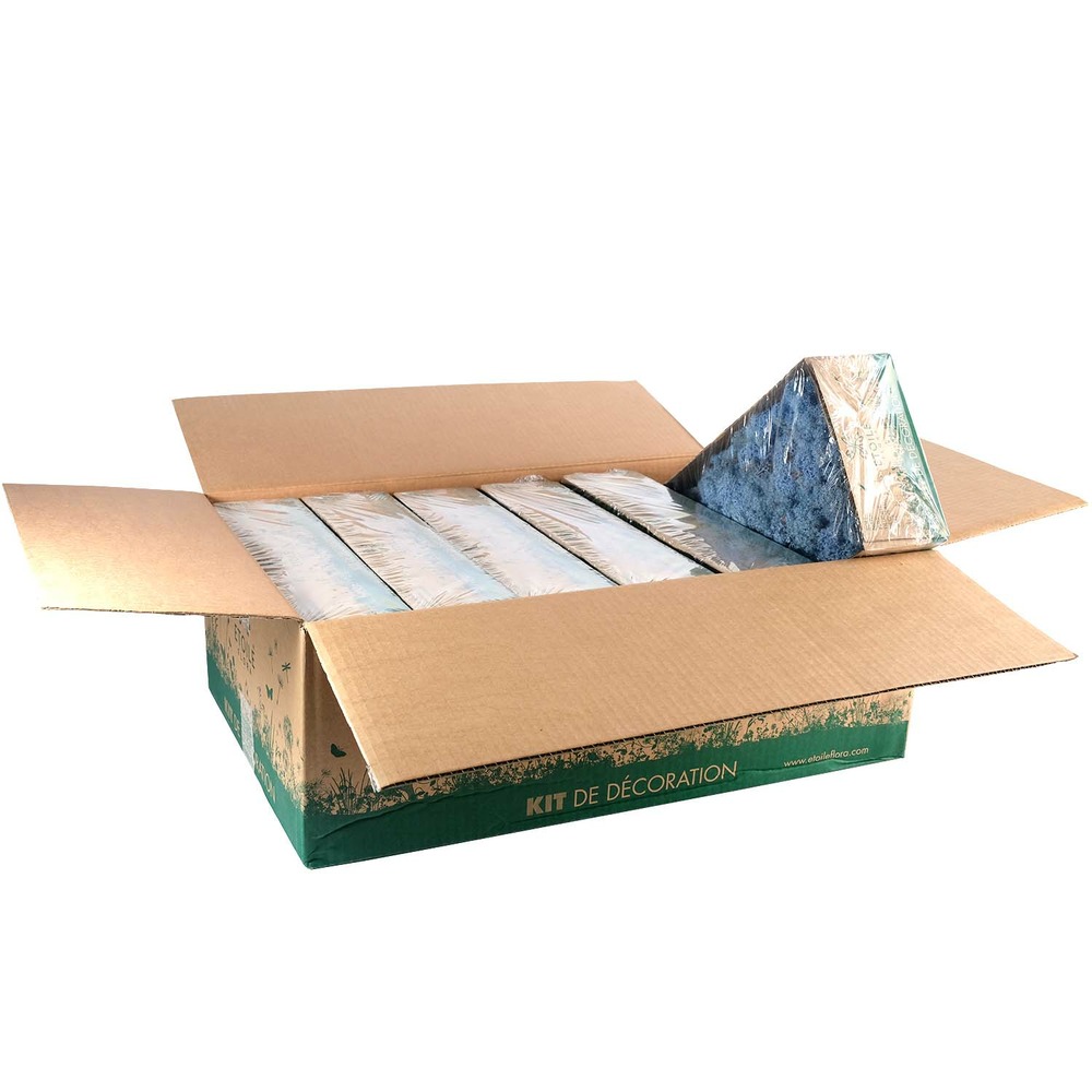 Lic/0585 lichen stabilisée lavande w-box 0,5 kg