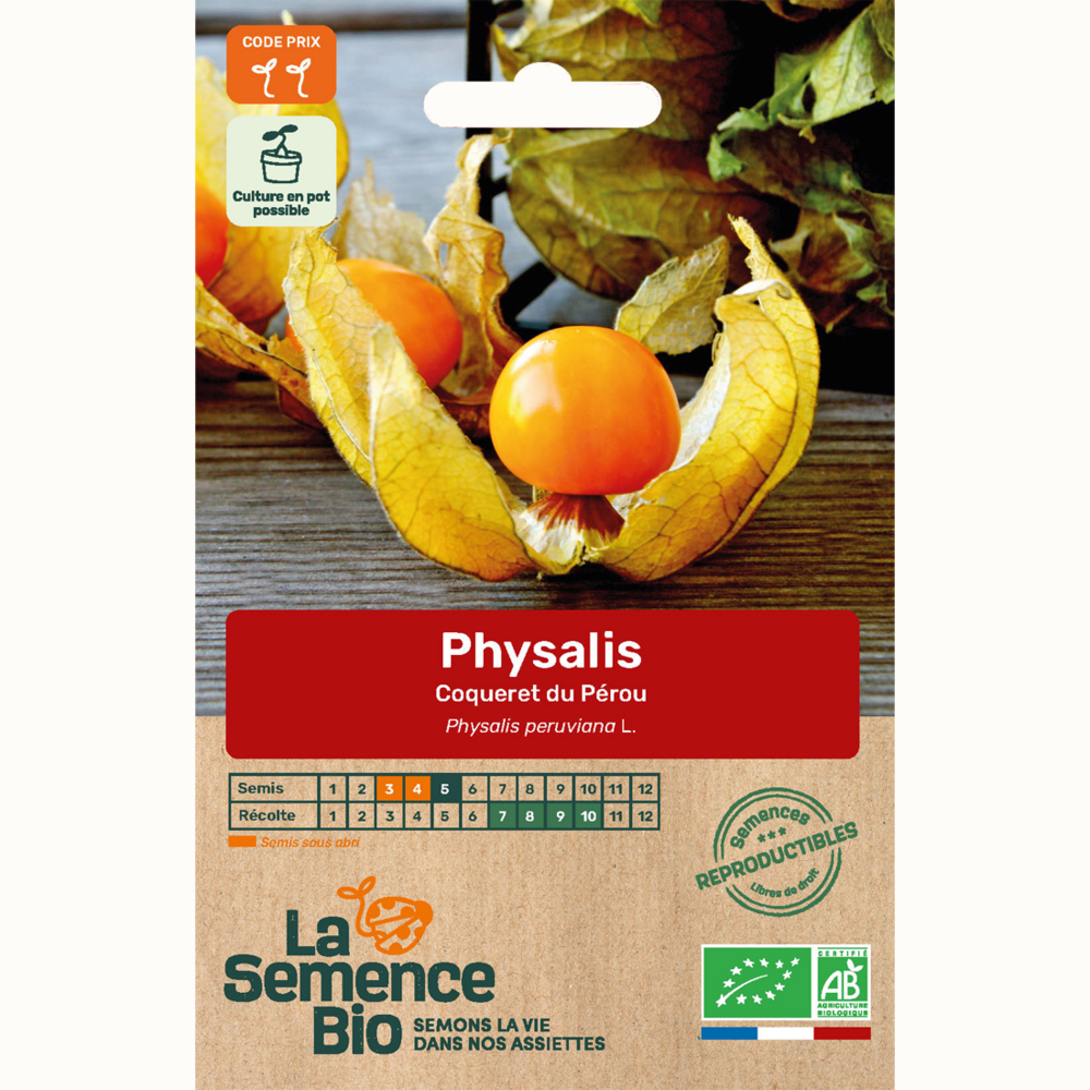 Physalis coqueret du pérou - graines bio