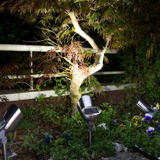 Spot solaire sol inox brossé 30 lumens blanc froid