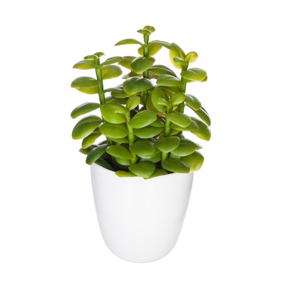 Plante artificielle cactus en pot h 18 cm