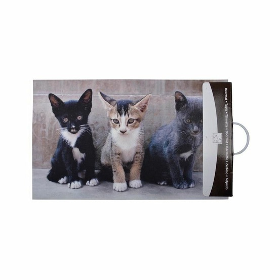 Paillasson déco en caoutchouc recyclé intérieur extérieur chatons
