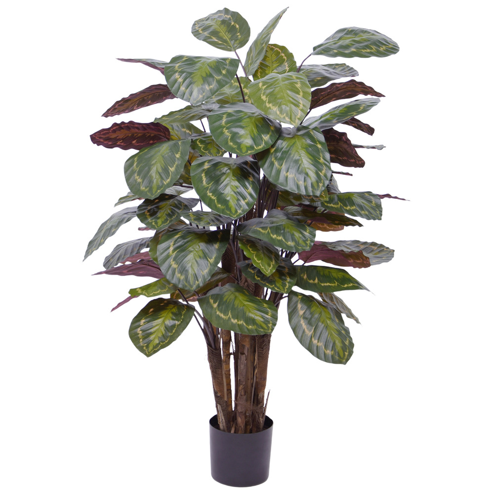 Calathea roseopicta artificiel deluxe 125cm rouge