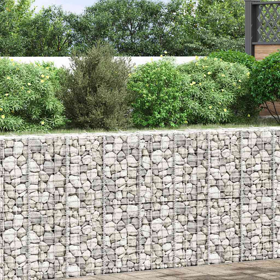 Lits surélevés en gabion 3 pcs 30x30x100 cm fer