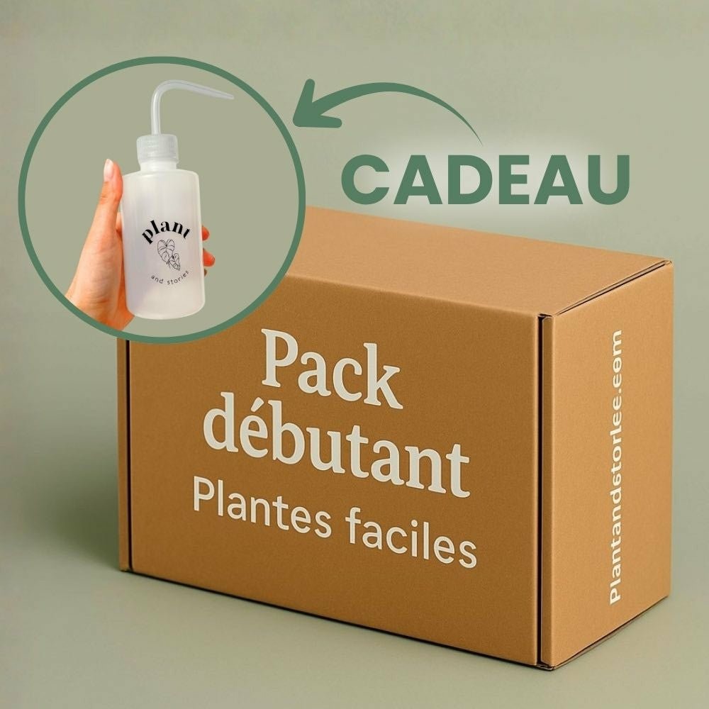 Box débutant plantes surprises + pipette 250ml offerte - pack débutant - plantes d'intérieur mystères - 9 plantes surprises