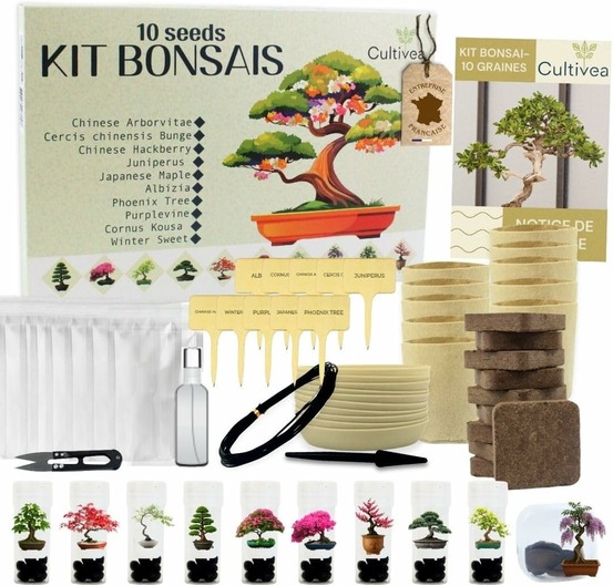 Cultivea - Kit 10 Bonsaïs - Prêt à Pousser avec accessoires - Coffret Complet avec Graines, Pots, Outils & Notice