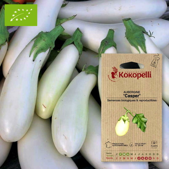 Aubergine casper- graines bio à semer