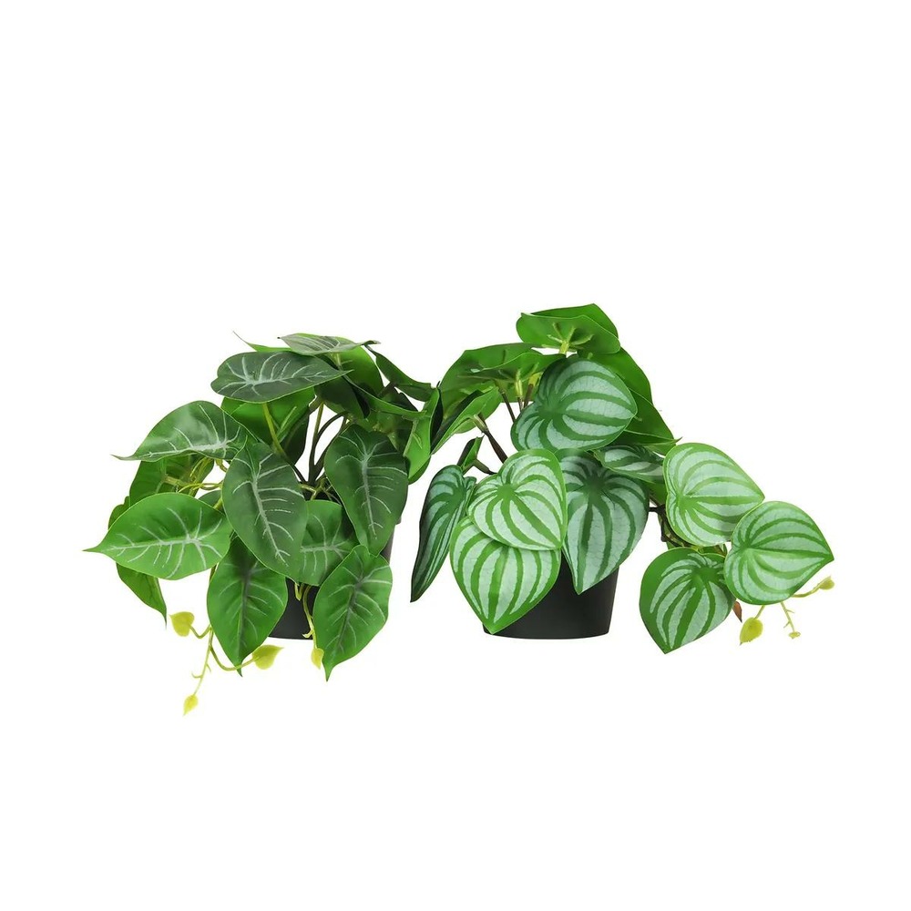 Plante artificielle tombante 18cm lot de 2