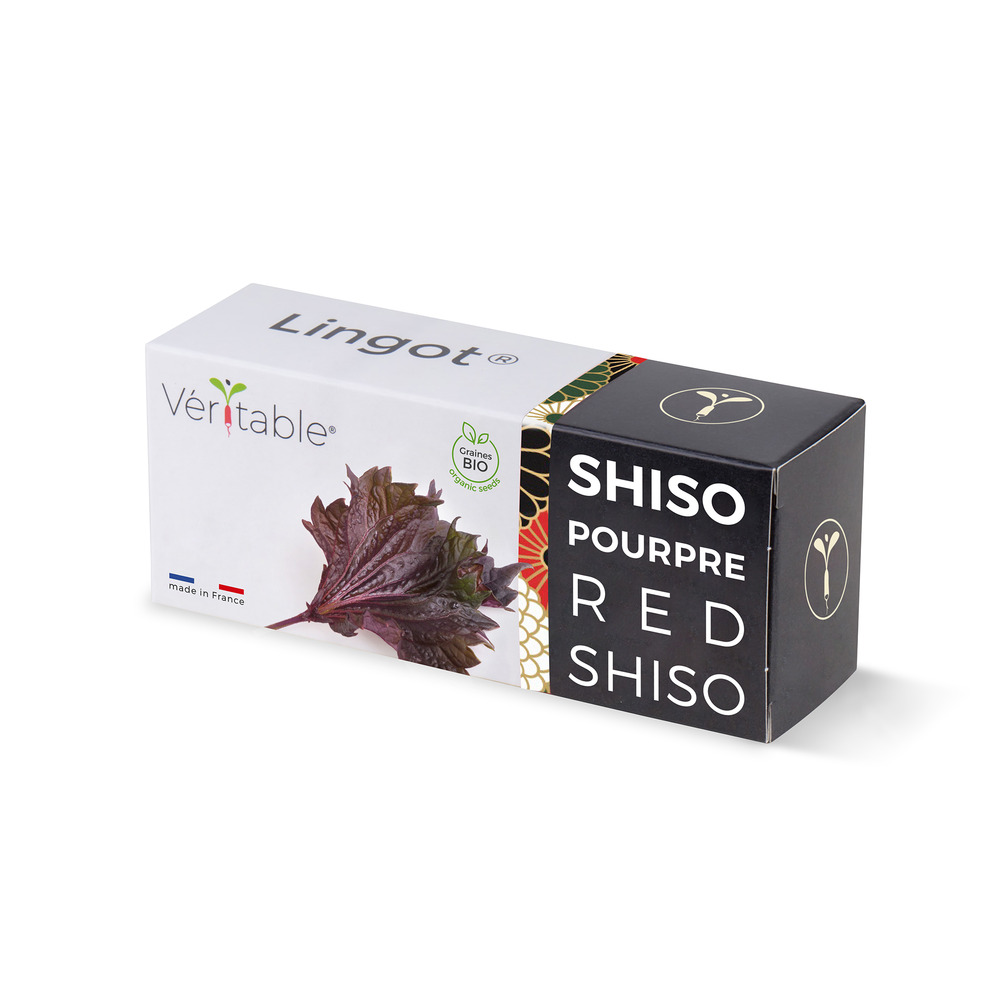 Lingot shiso pourpre bio - recharge prête à l'emploi