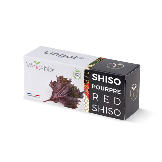 Lingot shiso pourpre bio - recharge prête à l'emploi
