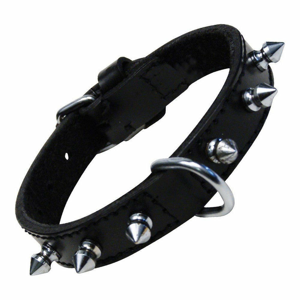 Collier pour chien gloria noir clous (30 cm)