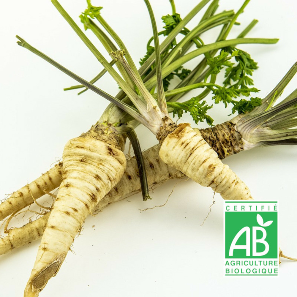 Graines de persil tubéreux halblange - sans traitement sachet