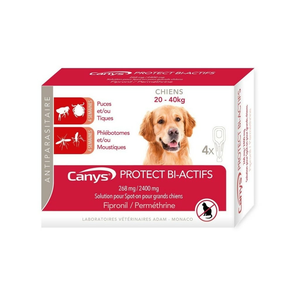 Canys protect - chien l