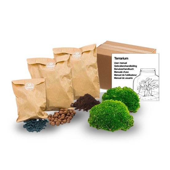 Planten terrarium - maat s/m