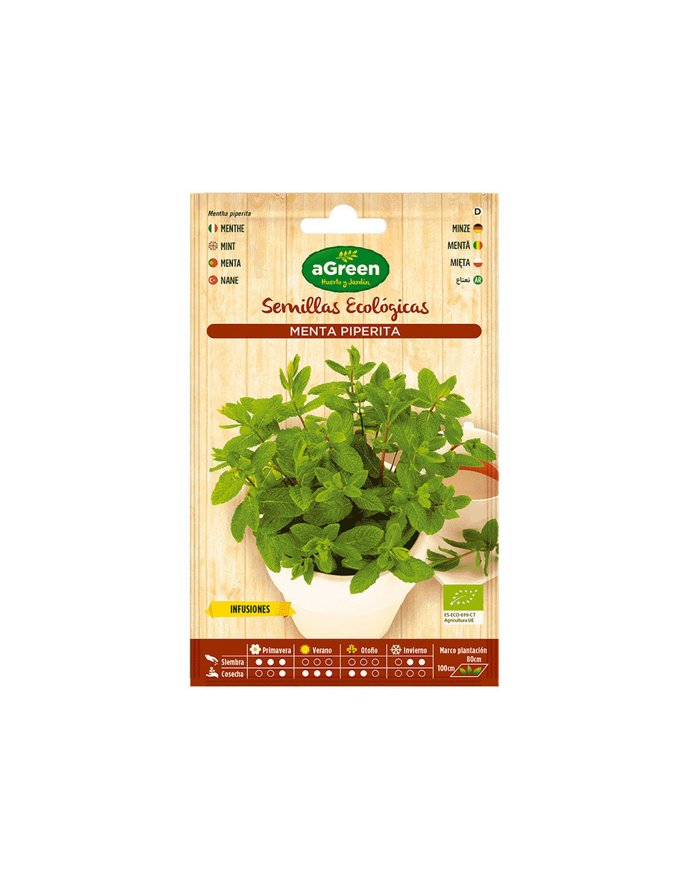 10 sachet de graines eco menthe agreen