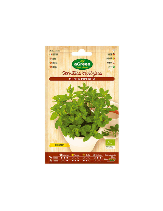 10 sachet de graines eco menthe agreen