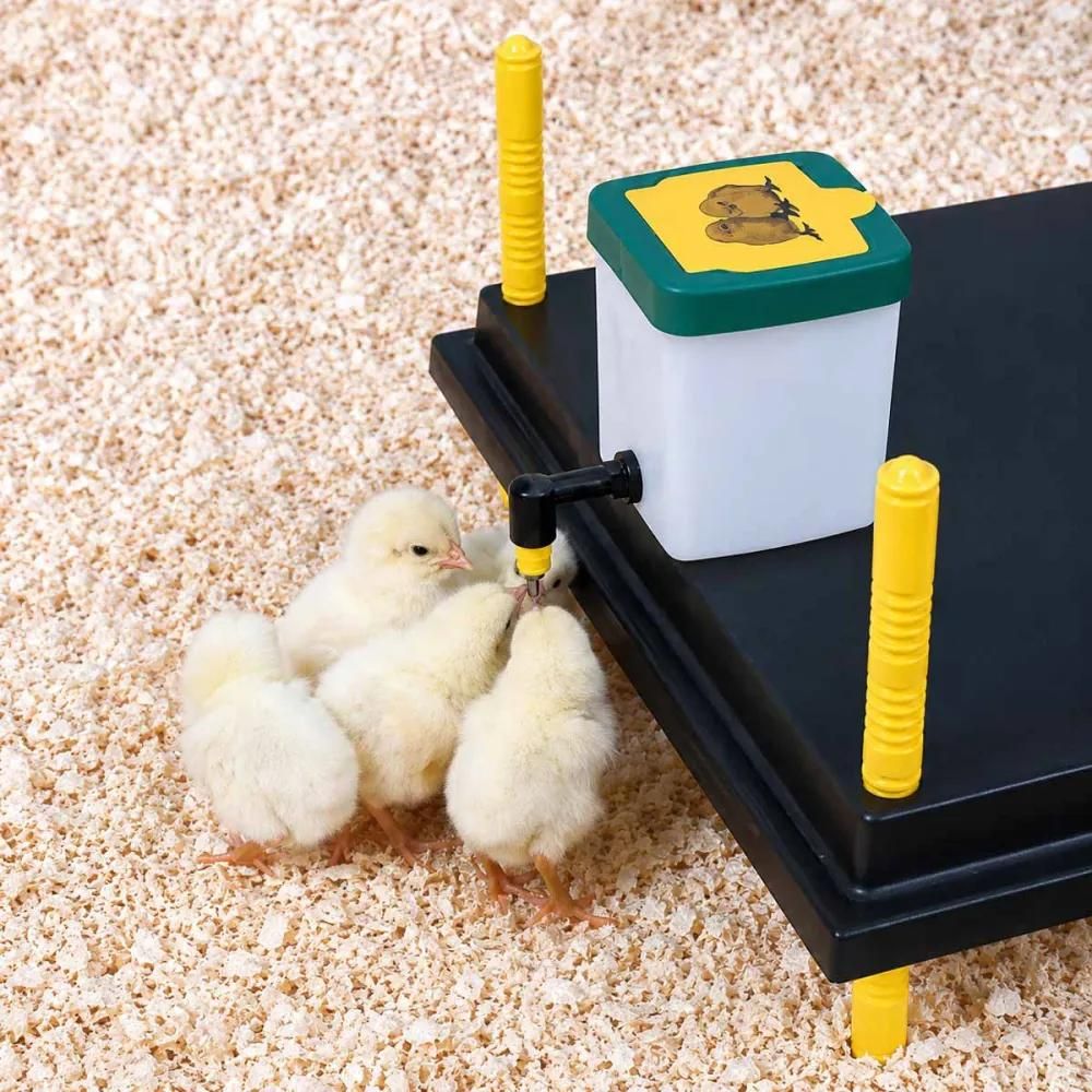 Abreuvoir à pipette poussins et cailles 0,5 l olba