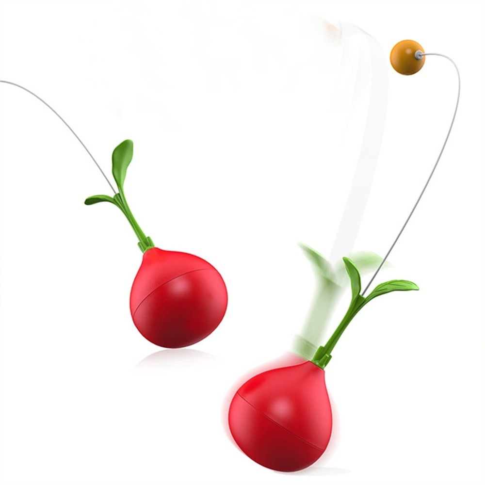 Dtopbuyage jouet combiné de bâton de chat et de toupie pour chats