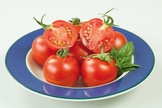 Plant de tomate cocktail crush pot 0,5 l
